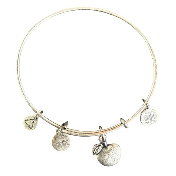 Alex and Ani Apple Charm Bracelet Silver Nature Expandable Bangle - Picture 14 of 14